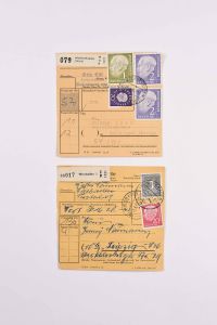 Lot 7123