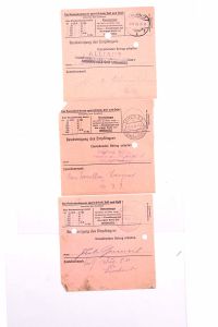 Lot 6951