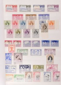 Lot 6329