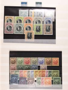 Lot 6256