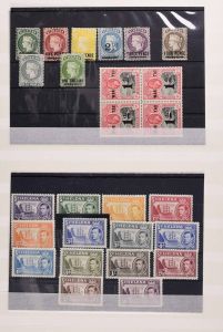 Lot 6324