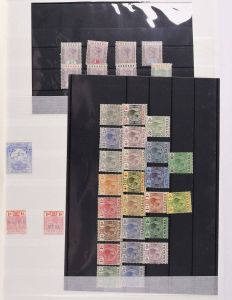Lot 6290