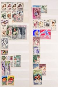 Lot 6240