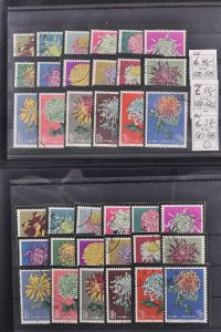 Lot 6269