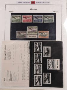 Lot 6361