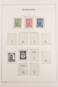 Lot 6428