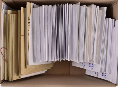 Lot 6560