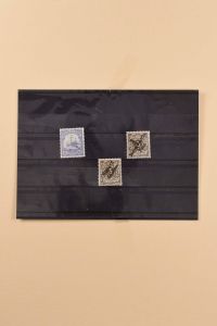 Lot 6767